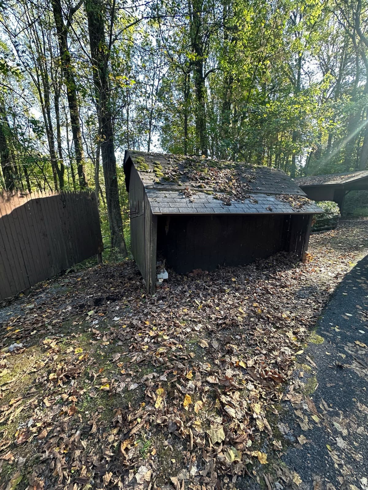 Gambrel-roofed wooden outbuilding with moss on the shingles, open along the whole long side — The Junk Lord, York County PA