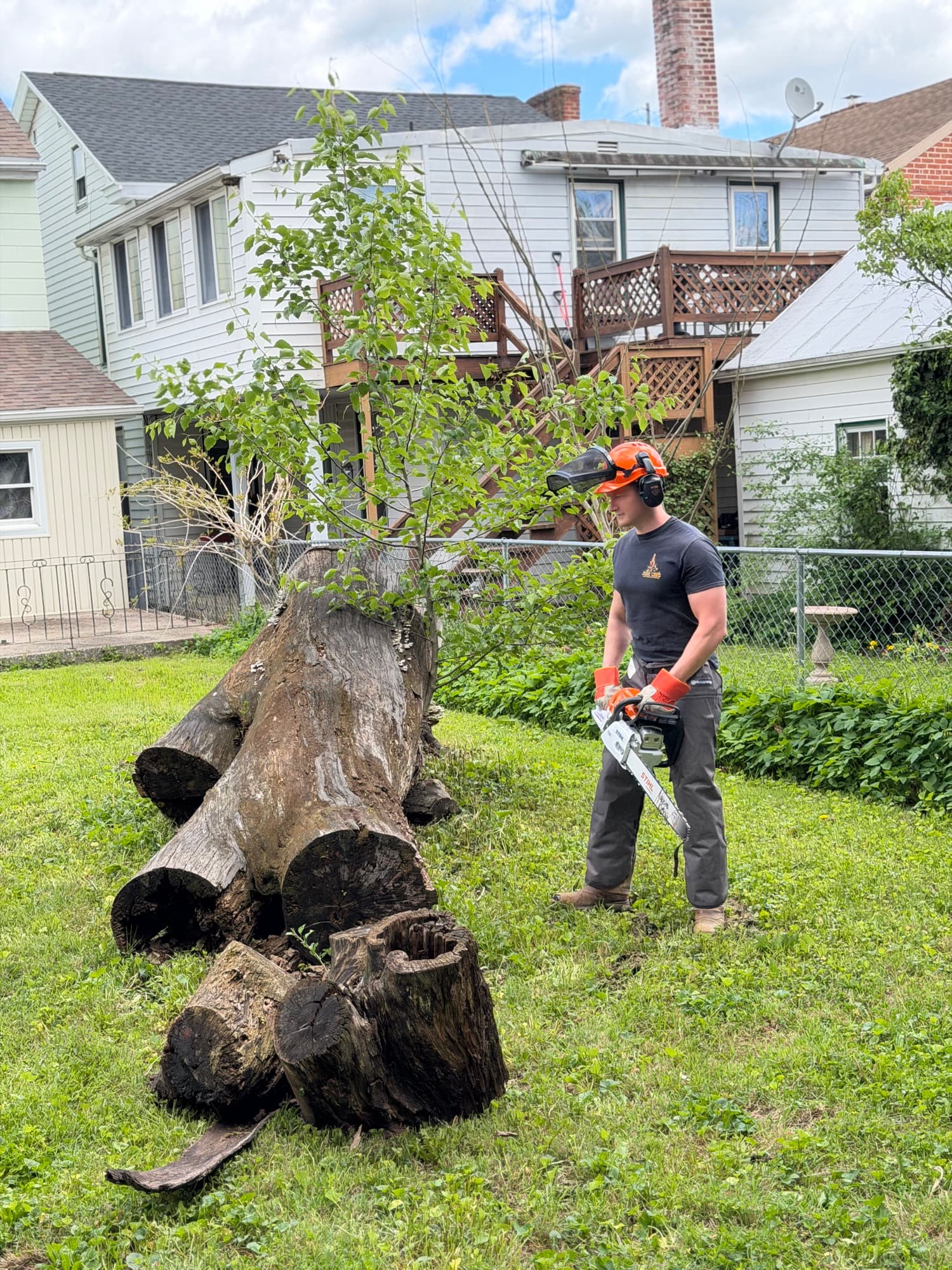 Fallen tree on the ground after a storm in York County, PA — The Junk Lord