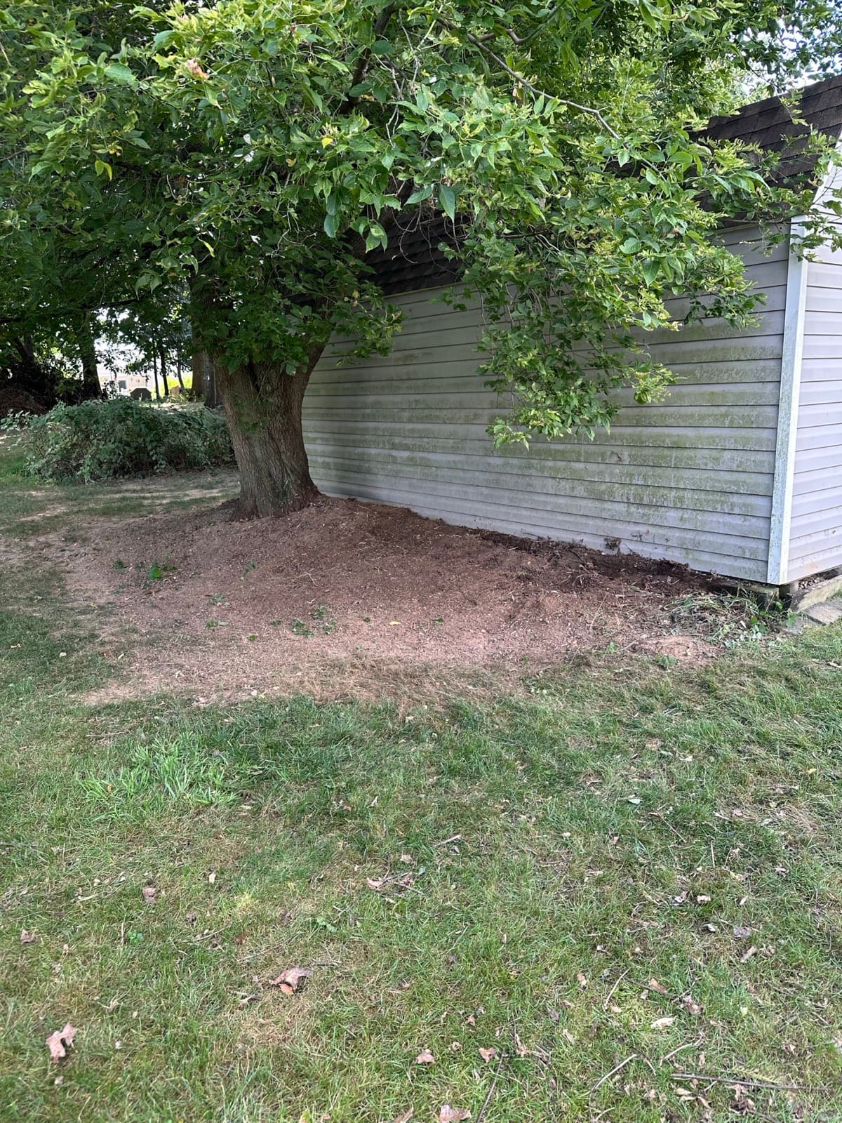 Strip of bare dirt cleared along the metal shed wall where the overgrowth was pulled out — The Junk Lord, York County PA