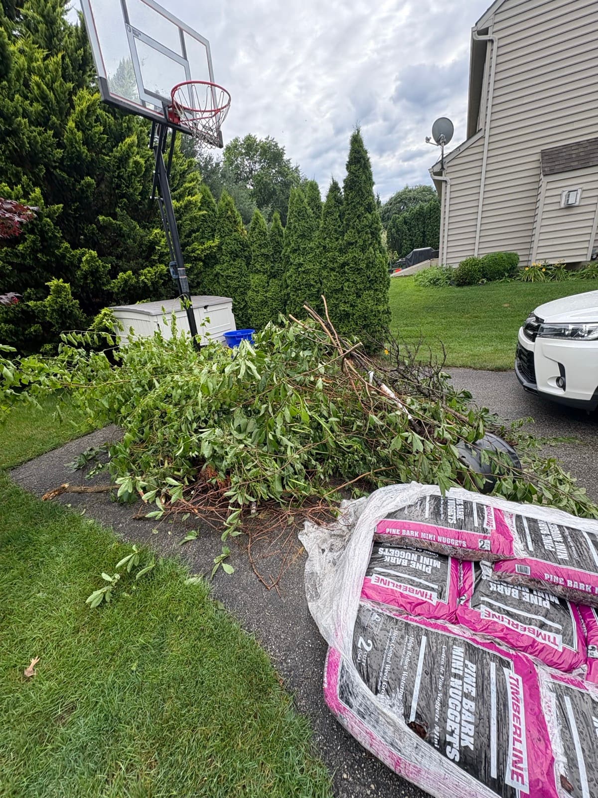 Pulled shrubs with root balls piled by the driveway next to bagged pine bark mulch — The Junk Lord, York County PA